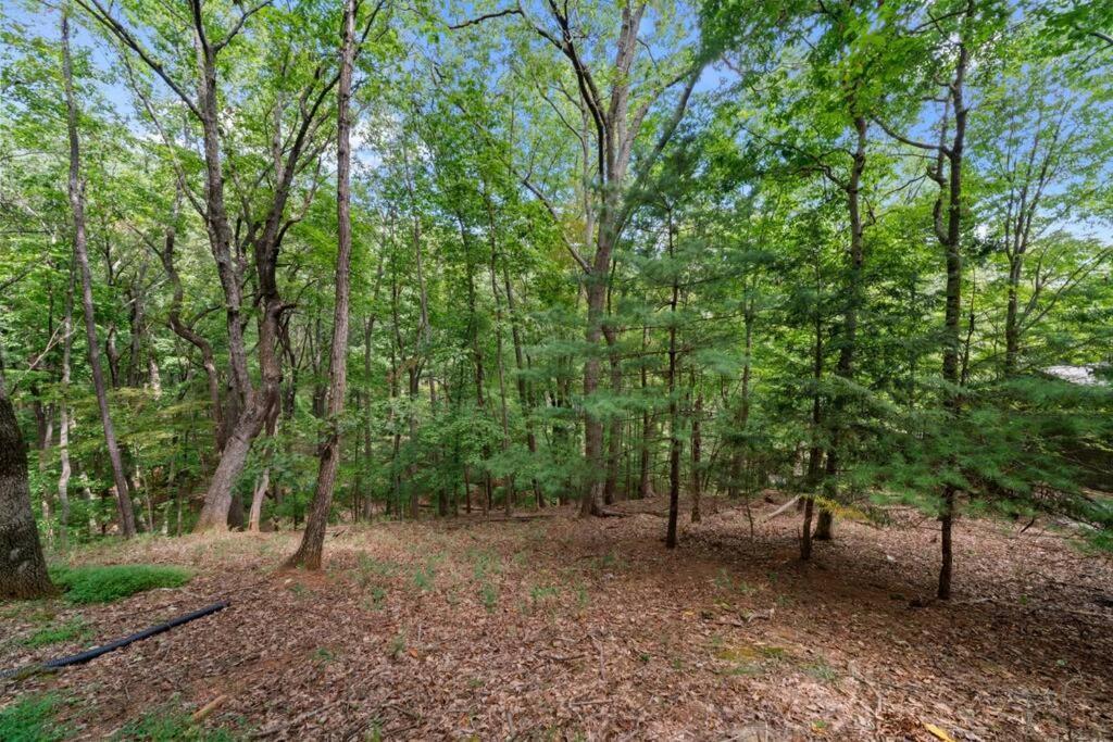 Villa Cozy Bear Getaway Marble Hill Exterior foto